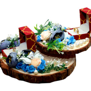 Layer Ring Holder- CH/NC