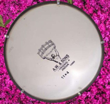 Tasha - Image 3