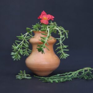 Flower Pot-SA/ST