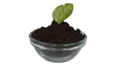 Vermicompost 1000g Each - Image 3