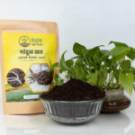 Vermicompost 1000g Each